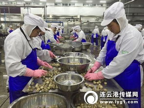 對接“一帶一路”戰(zhàn)略，打造新時代進出口食品安全大通道