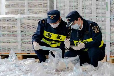 新修訂《進出口食品安全管理辦法》即將施行 進口更安全，出口更通暢